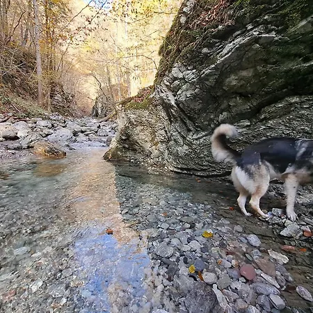 Hikers Hut Hisar Homestay Podbrdo