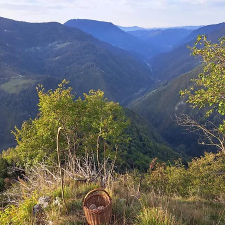 Kwatera prywatna Hikers Hut Hisar *