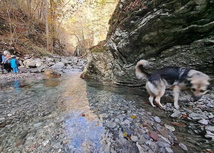 Hikers Hut Hisar Nastanitev v družini Podbrdo