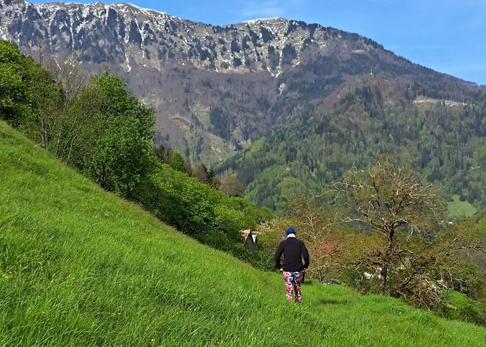 Hikers Hut Hisar Podbrdo